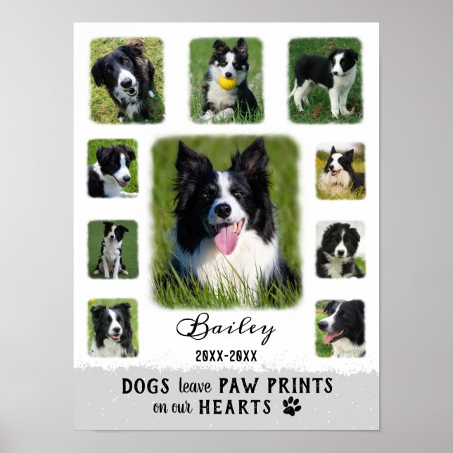 Poster Cão Personalizado Colagem de Fotografias Desbotada (Frente)