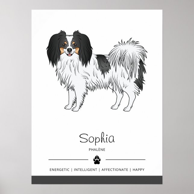 Poster Cão Phalène Tricolor Com Seu Nome Próprio (Frente)