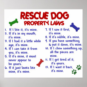 POSTER CÃO PL2 DO SALVAMENTO