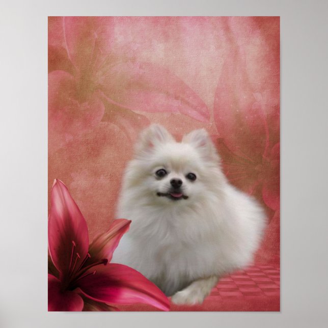 Póster Cão Pomerano Branco Flor Lily Arte Animal (Frente)