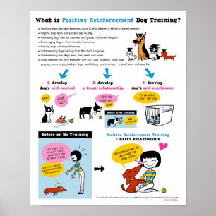 Poster Cão positivo do reforço que treina 16" x 20"
