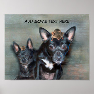 Poster Cão preto Chihuahua com texto personalizado de mo