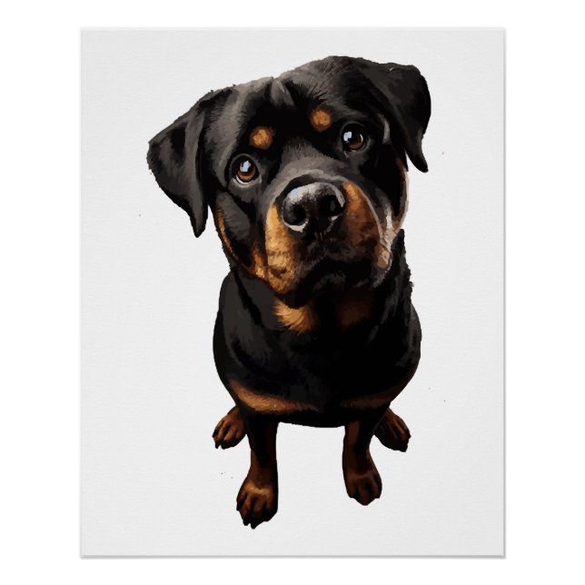 Póster cão rottweiler (Frente)