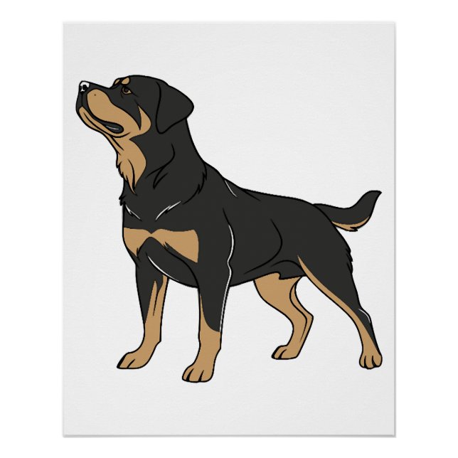 Póster Cão Rottweiler, Cão Rottweiler em Pé (Frente)