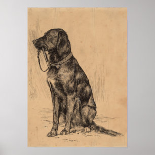 Póster Cão só que guardara sua própria trela, tinta da