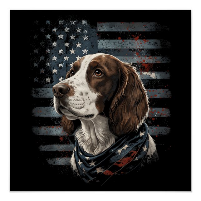 Póster Cão Springer Spaniel Bandeira Americana (Frente)
