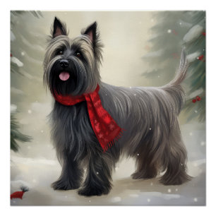 Póster Cão Terrier Skye na Neve Natal