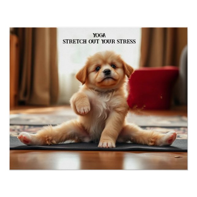 Póster Cão Yoga (Frente)