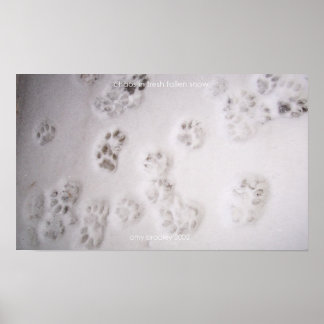 Poster caos na neve fresca e caída