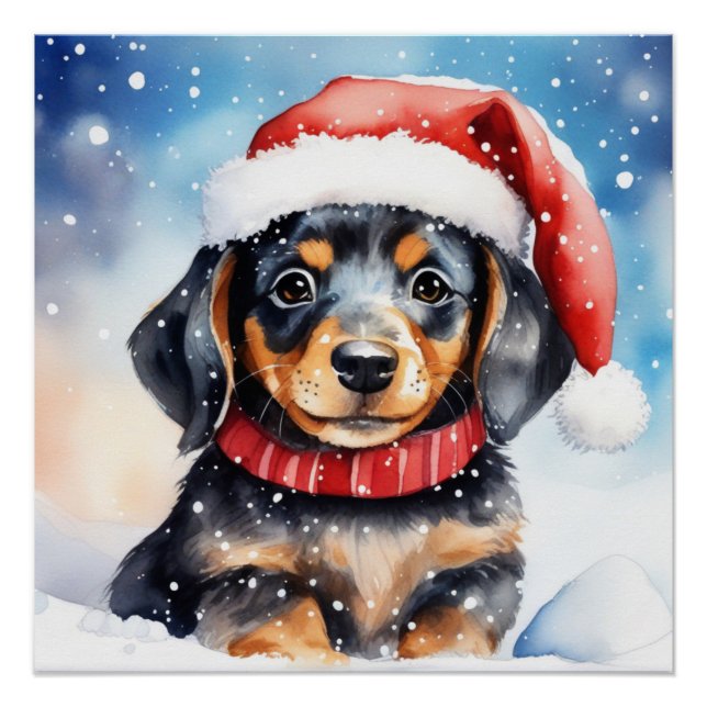 Póster Cãozinho bonito (Frente)