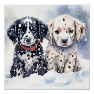 Póster Cãozinho bonito