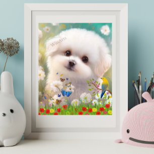 Poster Cãozinho branco maltês giro e bonito na Arte Flora