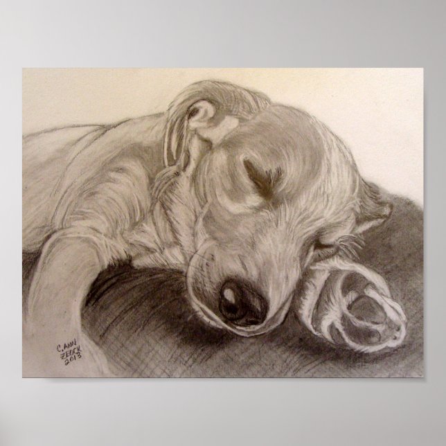 Póster Cãozinho Dormindo (Frente)