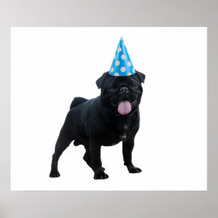 Poster Cãozinho engraçado