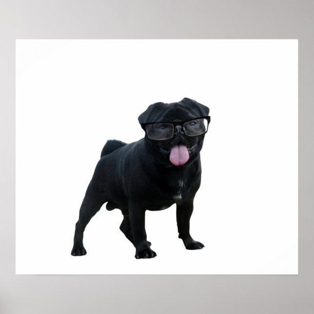 Poster Cãozinho engraçado (Frente)