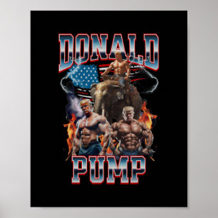 Poster Capa da Bomba Donald Trump Academia