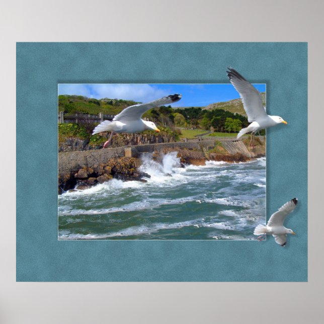 Poster Capa de Seagull (Frente)