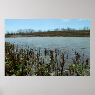 Póster Capa pantanosa