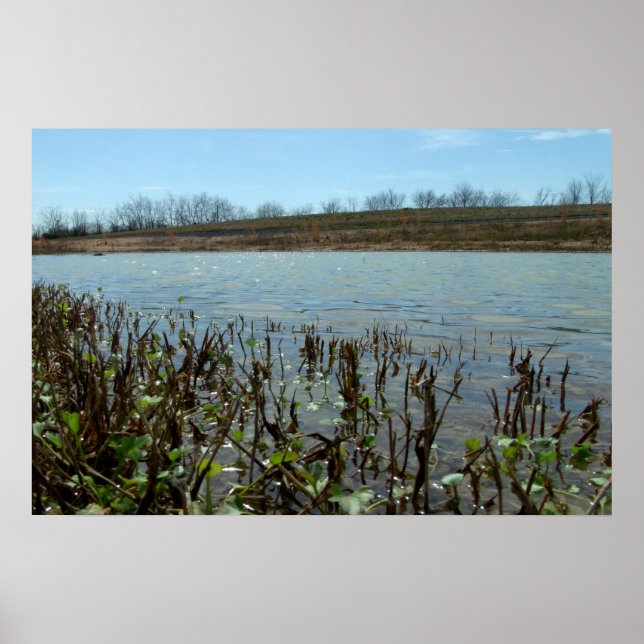 Póster Capa pantanosa (Frente)