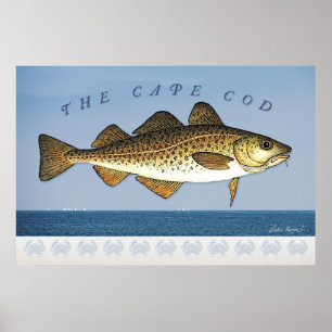 Póster Cape Cod