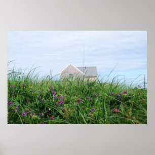 Póster Cape Cod Beach House