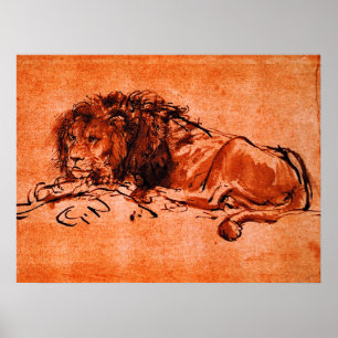Poster CAPE LION DEITADO por Rembrandt Orange Black
