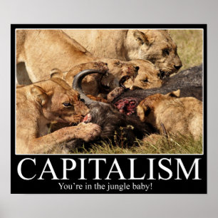 Poster Capitalismo Demotivational