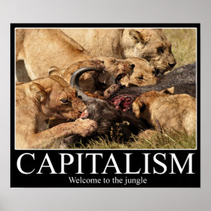 Poster Capitalismo Demotivational