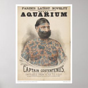 Póster Capitão Costentenus: Tattooed da cabeça ao pé