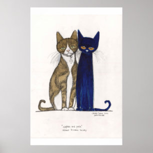 Póster Capitão & Pete