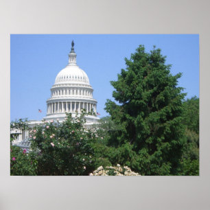 Poster Capitol Building, do Parque Bartholdi