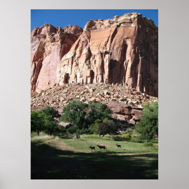 Poster Capitol Reef National Park (Frente)