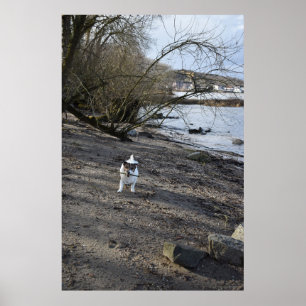 Poster Capo von Oppenheim, Jack Russell Terrier cão