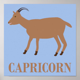 Poster Capricorn - Sinal de Estrela - Capa
