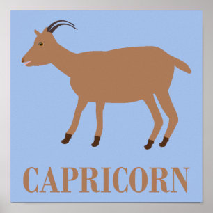 Poster Capricorn - Sinal de Estrela - Capa