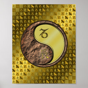 Poster Capricórnio e Dragão Metálico