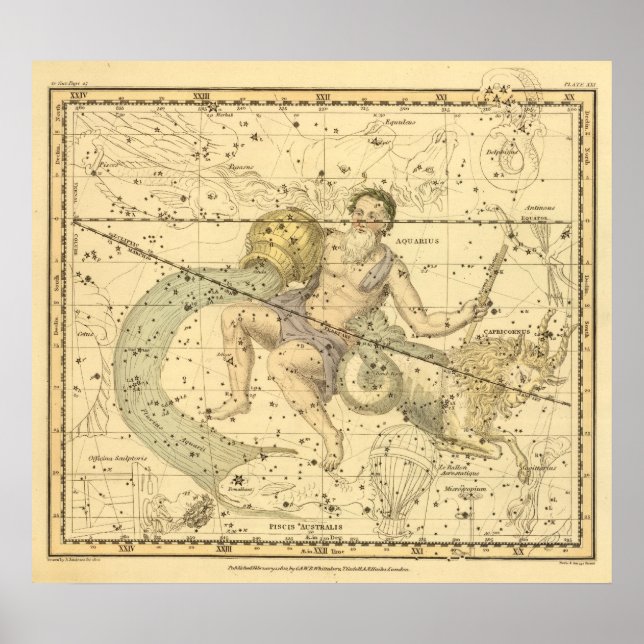 Póster Capricornus e Aquarius (Frente)