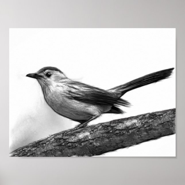 Póster Caprino (Frente)