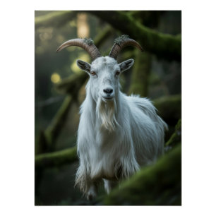 Póster Caprino florestal místico entre Moss   Dark Fantas