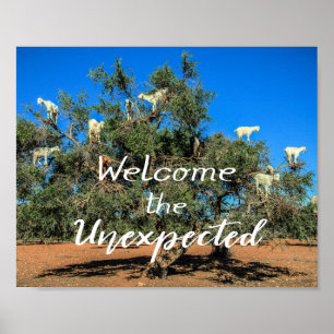 Poster Caprinos em Árvores Bem-vindos ao Inesperado