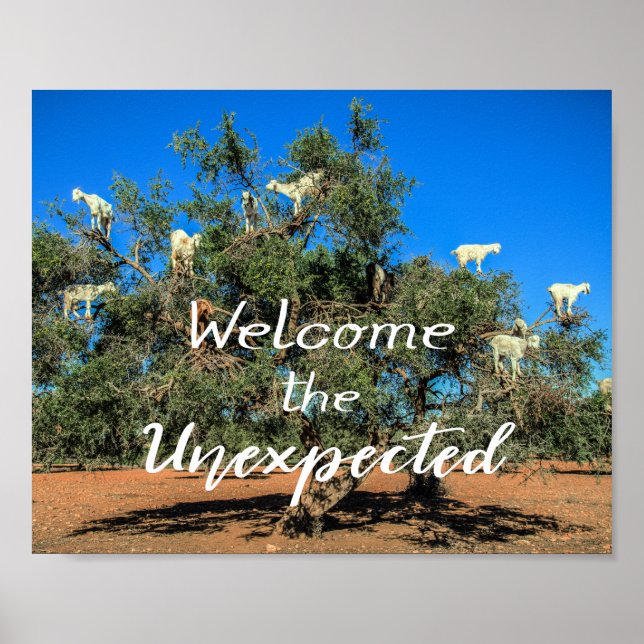 Poster Caprinos em Árvores Bem-vindos ao Inesperado (Frente)