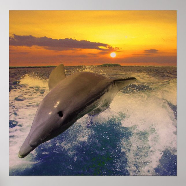 Póster Captiva Dusk (Frente)