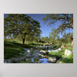 Póster Captivação da Natureza