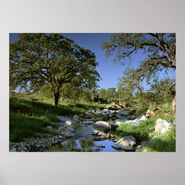 Póster Captivação da Natureza (Frente)