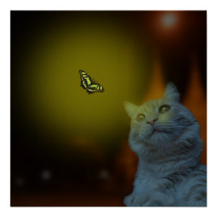 Póster Captivado pela beleza: Gato mesmerizado pela borbo
