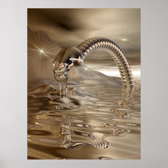 Poster Captura de luz (Frente)