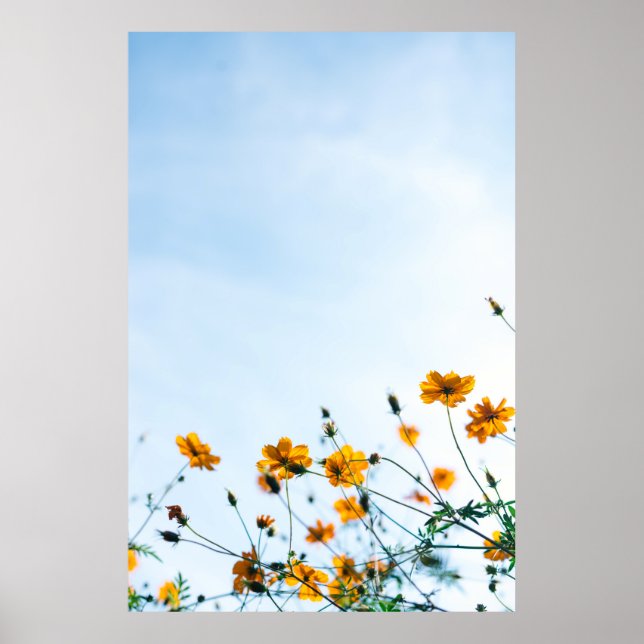 Poster Captura próxima das flores amarelas (Frente)