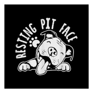 Póster Cara de Pit em Repouso  Meme Engraçado de Cachorro