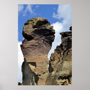 Poster Cara do macaco