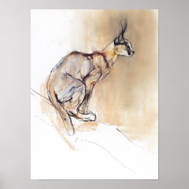 Poster Caracal sentado 2009 (Frente)